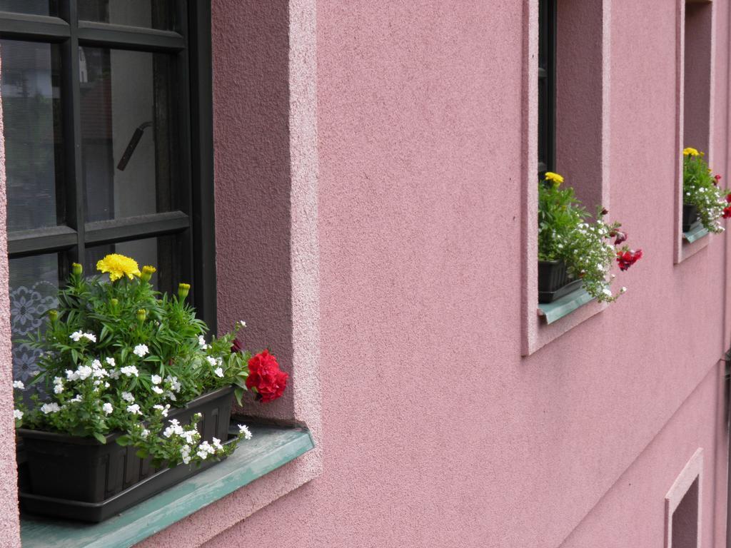Pension Lipa Horni Marsov Exterior photo